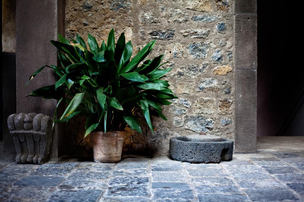 Casa La Carrubbazza Hotel San Gregorio di Catania